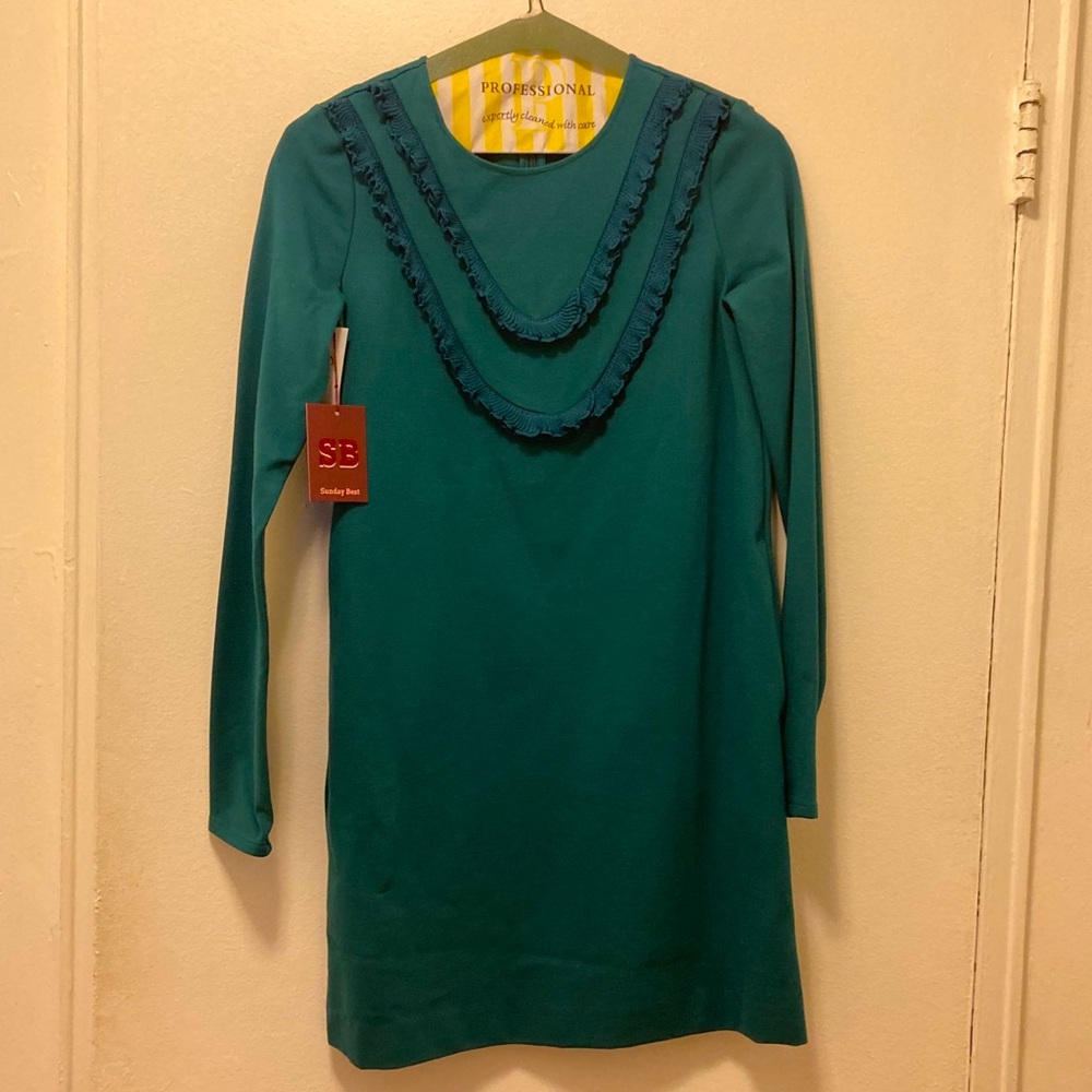 Sunday Best (Aritzia) Eliza dress (New!)